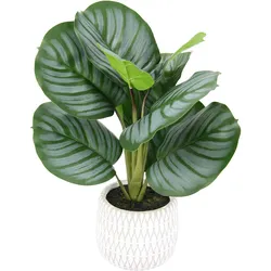 Kunstpflanze I.GE.A. "Maranthus", grün, B:32cm H:43cm L:24cm, Kunstpflanzen, Künstliche Korbmaranthe Galathea Medaillon Kunstpflanze Efeutute