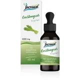 Increase Liposomale Gerstengras Tropfen 4000 mg 60 ml