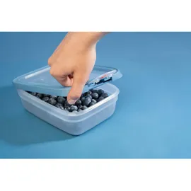 Emsa Frischhaltedose rechteckig blau 20,19 x 8,50 x 25,97 cm 0,5 l 3-teiliges Set