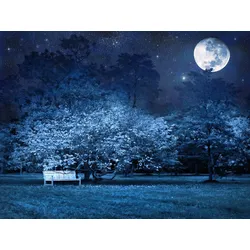 Fototapete PAPERMOON "VOLLMOND-PARK MOND STERNE NACHT WALD BÄUME MYSTISCH", bunt, B:3,00m L:2,23m, Vlies, Tapeten