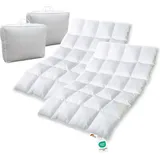 2x 1600g neue sibirische Daunen Federn Bettdecke Daunendecke 135x200