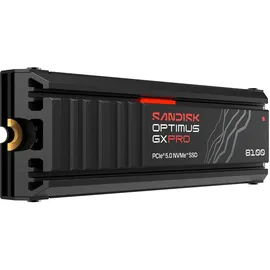 SanDisk Optimus GX PRO 8100 2 TB M.2