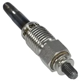 BorgWarner (Beru) (BERU) Glühkerze