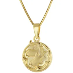 trendor 41088-3 Fische Sternzeichen Gold 333/8K mit goldplattierter Kette, 40 cm