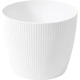 Dehner Magnolia Ø 30,5 x 24,6 cm Weiß