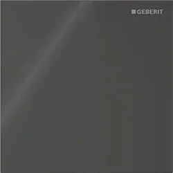Geberit Typ 40 Urinal-Steuerung 116237SJ1 elektronisch, Batteriebetrieb, schwarz