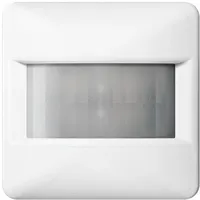 Jung Automatik-Schalter CD 17180 WW