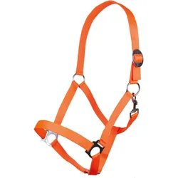 Pferd Halfter Stars Economy Softice neon orange WARMBLUT