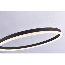 Paul Neuhaus TITUS 1-flg. 38,5W Ø 60 cm rund/grau