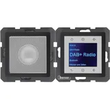 Berker Radio Touch mit Lautsprecher UP DAB+ Bluetooth Q.x anthrazit samt 30806086