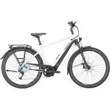 Pegasus Premio Evo 10 Lite 2024 28 Zoll RH 50 cm Herren metallic off white