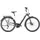 Pegasus Premio Evo 10 Lite 2024 28 Zoll RH 50 cm Herren metallic off white