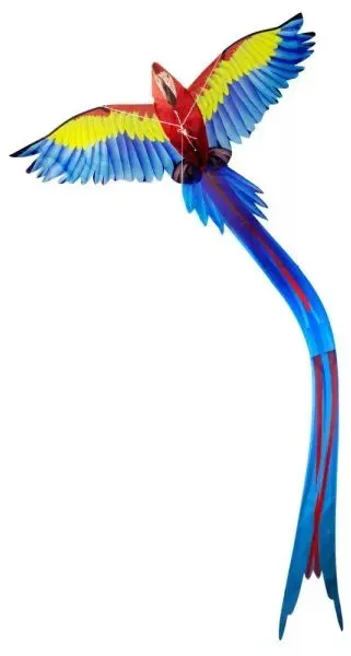 Eolo 3D Pop-up-Drachen – Papagei