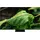 Samsung GQ65QN900C 65" Neo QLED 8K QN900C