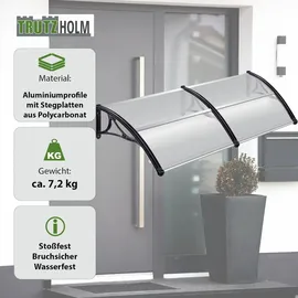 Baumarktplus Vordach Pultvordach 97 x 295 cm schwarz