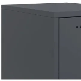 vidaXL Nachttisch Anthrazit 36x39x78 cm Stahl