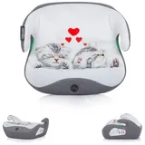 Chipolino Kindersitzerhöhung i-Size Uty (125-150cm) Gruppe 3, Bezug waschbar