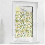 LICHTBLICK ORIGINAL LICHTBLICK Fensterfolie Gelb grün B/L: ca. 100x130 cm