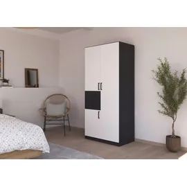 Rauch Drehtürenschrank MAIKA 91 x 197 x 54 cm Grau