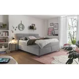 Set One by Musterring Boxspringbett »Fairfield«, mit Metallfuß schwarz, Wendematratze, Breite 160 oder 180 cm grau