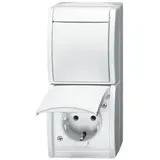 Busch-Jaeger Schuko-Steckdose 1 St. Weiß