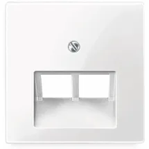 Merten Zentralplatte pws/gl für UAE-Einsatz 2f. 296119