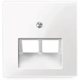 Merten Zentralplatte pws/gl für UAE-Einsatz 2f. 296119