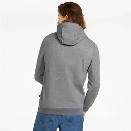 Puma Pullover Hoodie grau XL