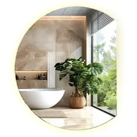 Tulup Led, Blaugrau, Glas, 63x70x0.4 cm, Spiegel, Wandspiegel