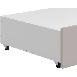 Home Affaire Bettschubkasten HOME AFFAIRE "Belfort Schublade für Stauraum unter dem Bett", weiß (cashmere), B:159,5cm H:22,5cm T:61,5cm, Hartfaserplatte, Spanplatte, Schubladen, Bettschubkasten, Zubehör für Belfort Betten 160x200cm, auf Rollen, FSC-zertifiziert