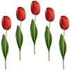 Kunstblume »Real Touch Tulpen«, 5er Set künstliche Tulpenknospen, Kunstblumen, Stielblume, rot