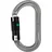 Petzl OK Ball-Lock Karabinerhaken Grau