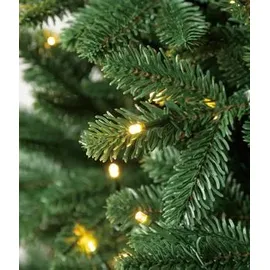 Dehner künstlicher LED-Weihnachtsbaum Alva, ca. H240 cm, Grün