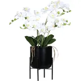 Künstliche Orchidee - Farid | 70 cm | Real Touch, im schwarzen Metalltopf