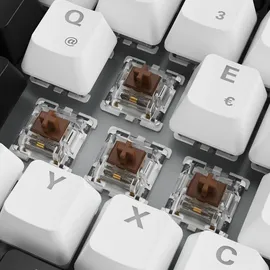 Sharkoon SKILLER SGK50 S3 Gateron Brown DE