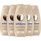 Schauma Schwarzkopf Reparatur-Shampoo Repair & Pflege (5x 400 ml), Haarshampoo glättet & repariert die Haarstruktur, Repair Shampoo für strapaziertes & trockenes Haar, mit Kokos-Extrakt