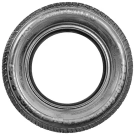 Semperit Speed-Grip 2 225/55 R16 99H