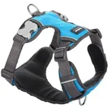 Red Dingo Geschirr, gepolstert XS türkis