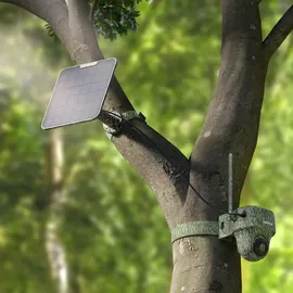 Reolink Go Series G450 Grün