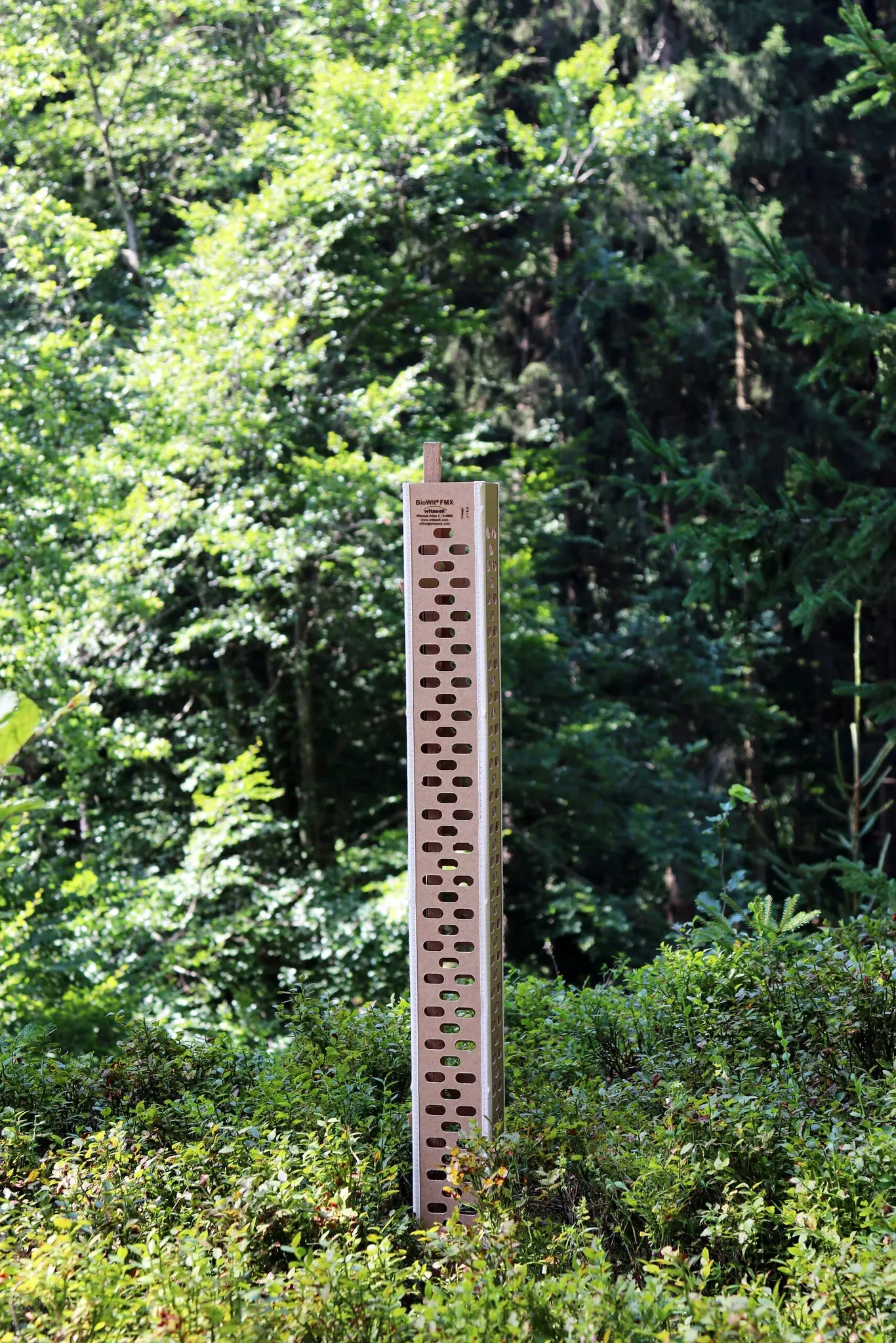 Witasek Bio-Wuchshülle Biowit FMX