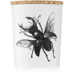 Vila Hermanos Insect Lucanus Cervus Duftkerze 75 g