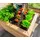 Westmann Hochbeet Klassik 100 100 x 65 x 66 cm Natur