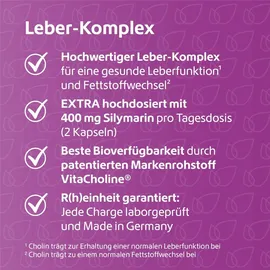 r(h)ein nutrition & health gmbh Leber-Komplex Mariendistel + Artischocke + Cholin