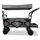 FUXTEC Fuxlife Smarter Bollerwagen FX-CTB800 Grau