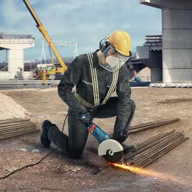 Bosch GWS 24-230 JZ Professional