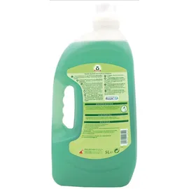 Frosch Spiritus 5 l