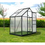 Westmann Flora 64 Aluminium Anthrazit Blankglas 0 mm 2,54 m2