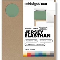 schlafgut Easy Jersey Elasthan Boxspring