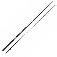 Abu Garcia Beast 802HP 2,44m 30-100g Casting Baitcastrute