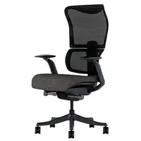 FlexiSpot Bürostuhl BS8 Pro Stoff schwarz, Gestell schwarz